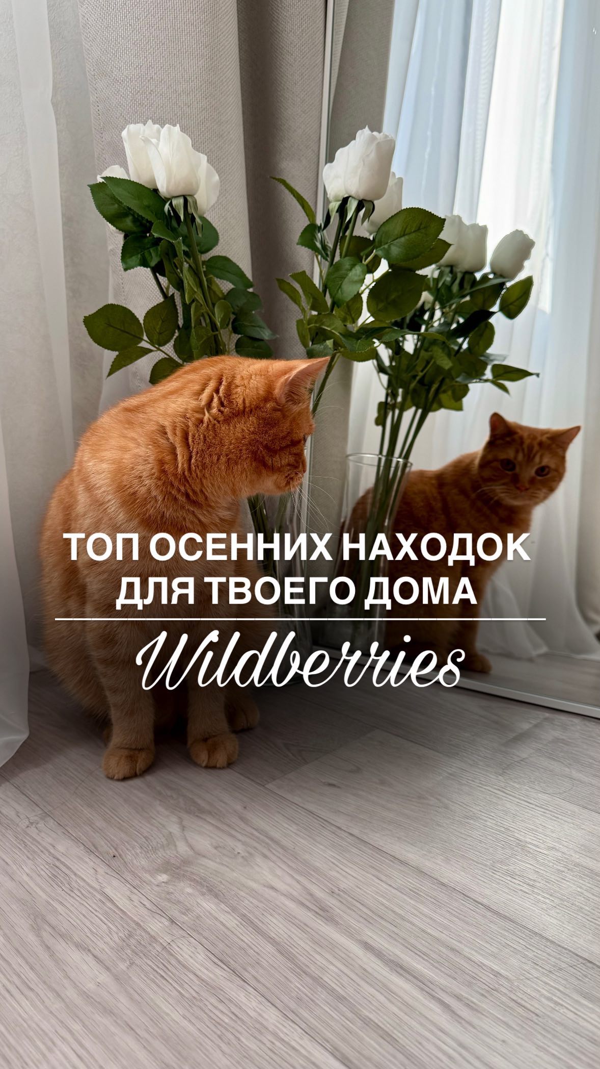 rezerv.mirokk in LOOKY. . Не забудь сохранить ...
