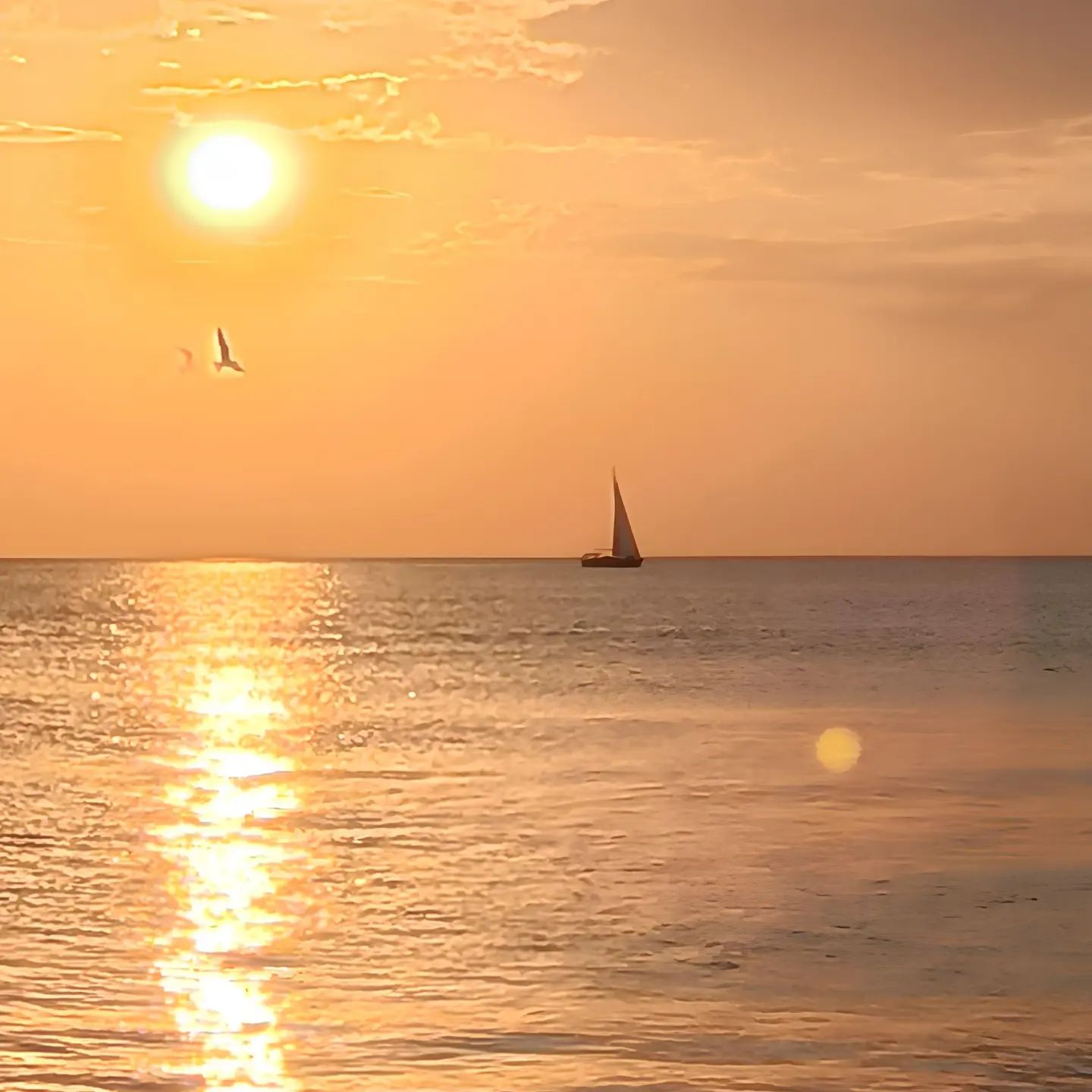 vovka_belyj в LOOKY. #sea,#travel,#travelphotography,#travelblog,#sunset. #sea #travel #travel...