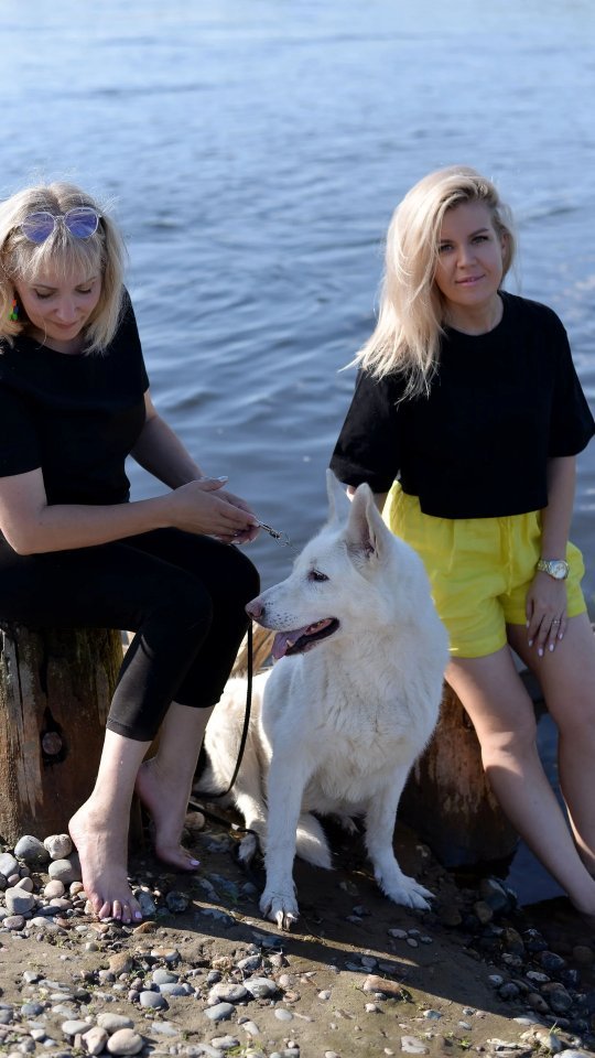 kinolog_zoopsikholog в LOOKY. #кинолог,#собака,#dog,#щенок,#дрессировкасобак,#дрессировка,#воспитаниесобак,#зоопсихолог,#фотограф,#абакан,#саяногорск,#минусинск,#черногорск. Именно так проходит ...