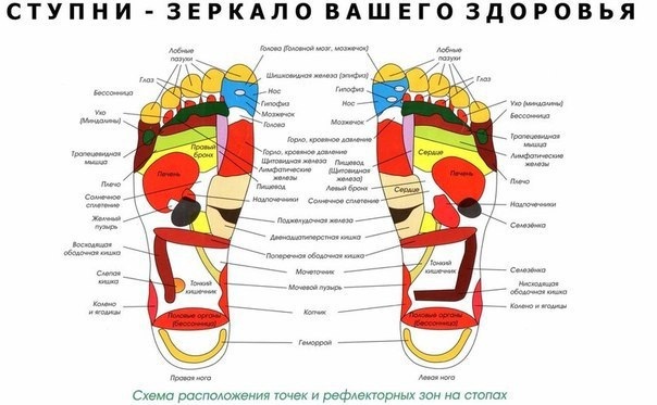 Алхимия Здоровья эко зож в LOOKY. #натуропатия,#пользавеганства,#вредмяса,#рациондиеты,#сыроедение,#полезныепродукты,#долголетие,#вегетарианство,#осознанность,#излечение. ПОЧЕМУ ПОЛЕЗНО МАССИ...