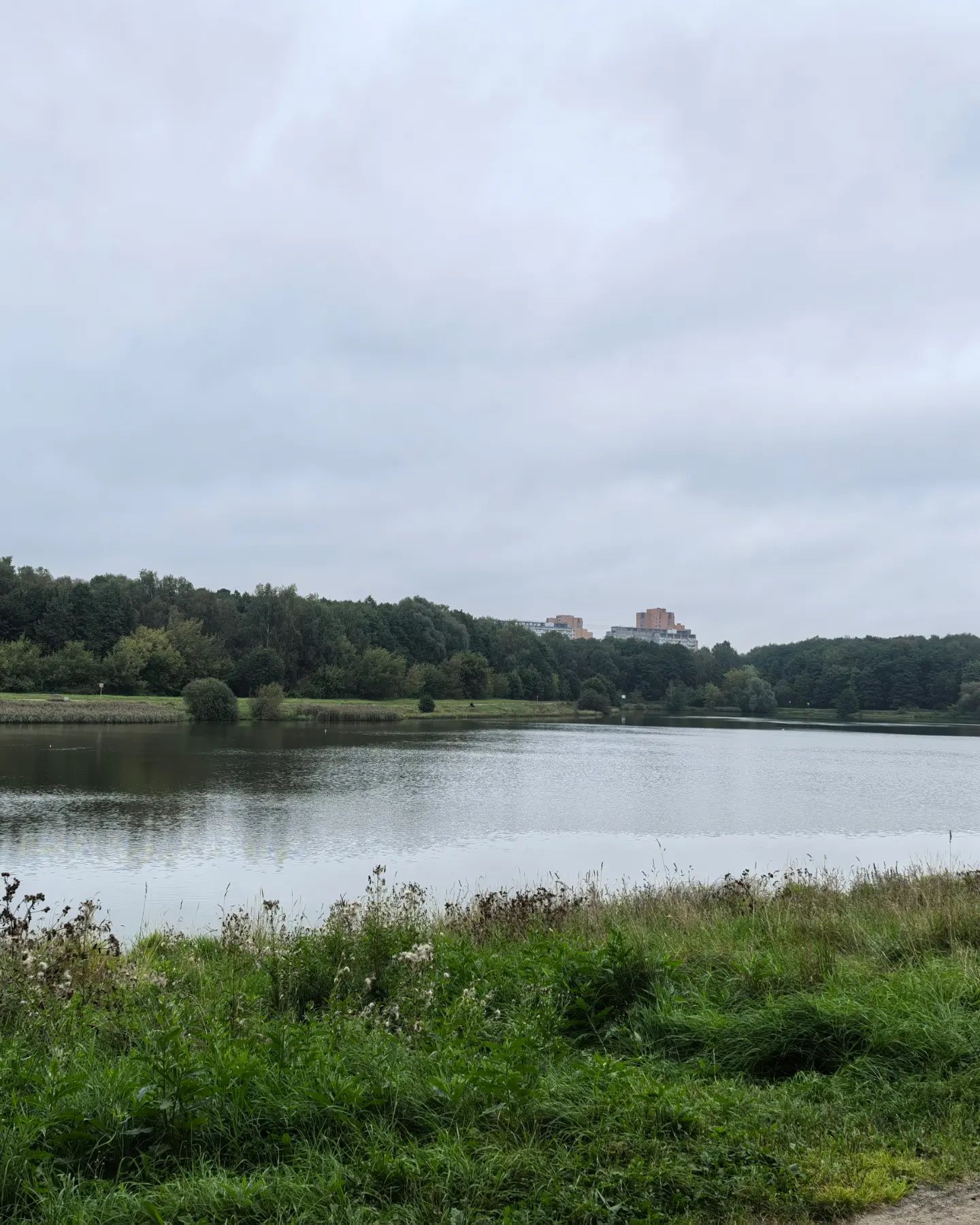 serg_pilikin в LOOKY — фото 3