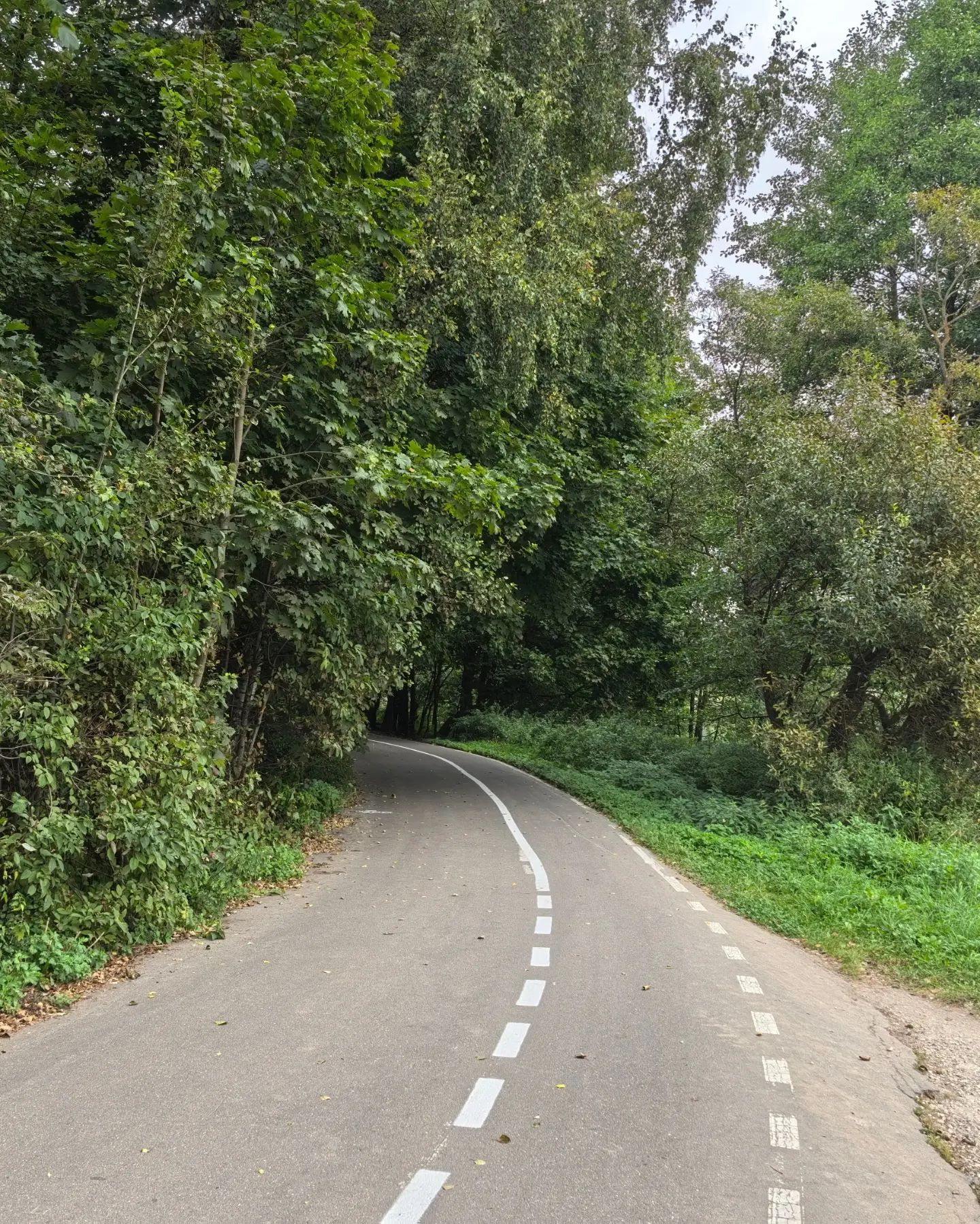 serg_pilikin в LOOKY — фото 4