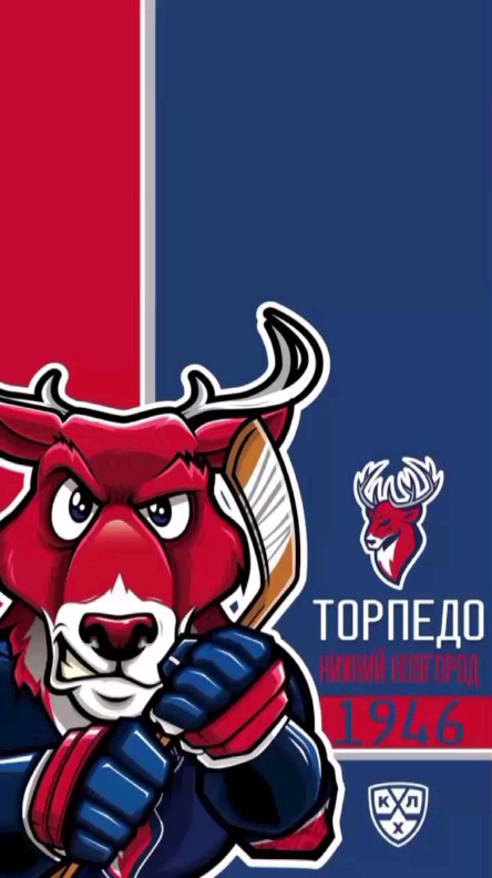 parihockey в LOOKY. . 🏒
ТОРПЕДО НН 🦌: СЕ...