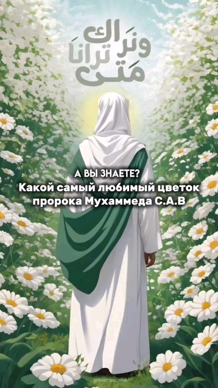 Гутаковская Галина| Смм| Продвижение| в LOOKY. . Теперь вы знаете чут...