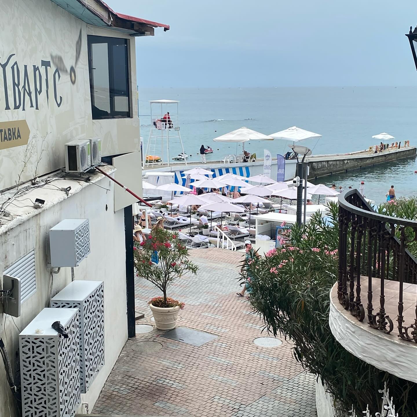 sia_pine в LOOKY — фото 3