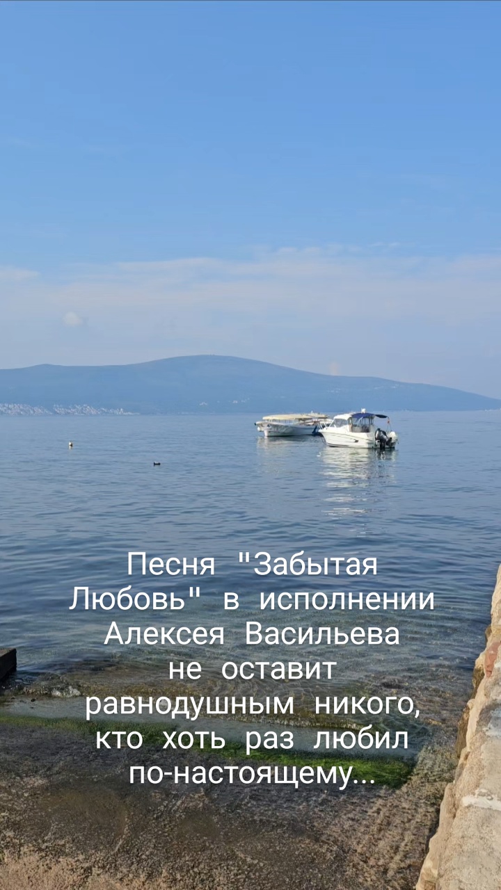 alexey_vasiliev_voice в LOOKY. #хит,#песня,#любовь,#забытаялюбовь,#песнягода. #хит #песня #любовь ...