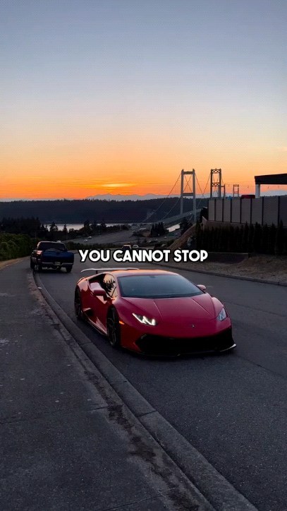 infolecius в LOOKY. . You Cannot Give Up
Y...