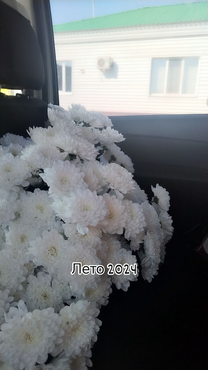 beatus.sv в LOOKY. . null