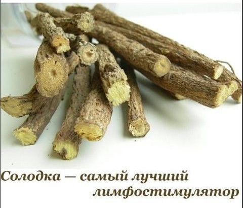 Алхимия Здоровья эко зож в LOOKY. . СОЛОДКА - САМЫЙ ЛУЧШ...