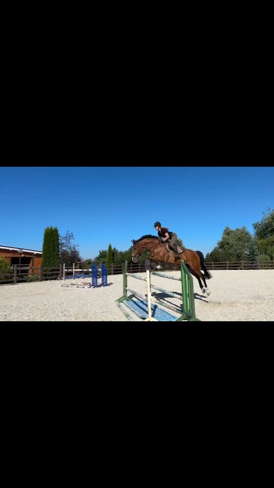daryanaequestrian in LOOKY. . ✨