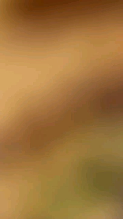 Алина Казакова в LOOKY. . Наступила осень , а ...