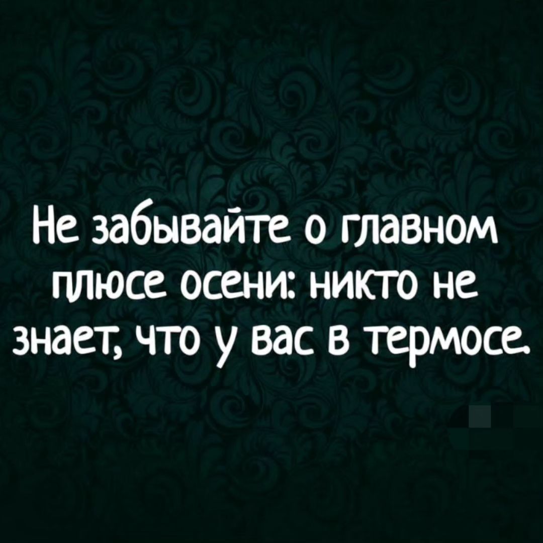 olkin_sad_ogorod в LOOKY. . null