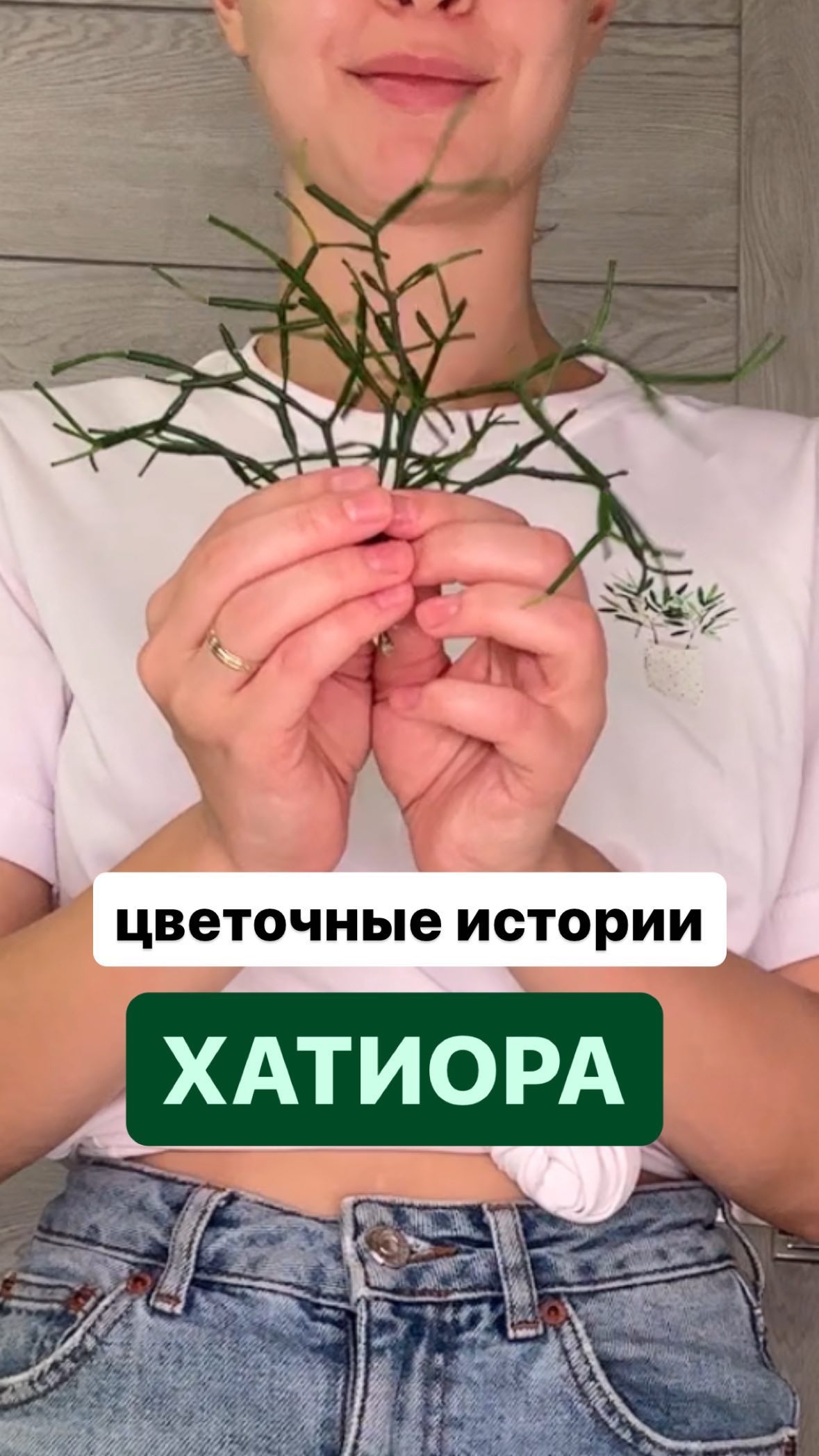 gelya_brain в LOOKY. . Цветочные истории жу...
