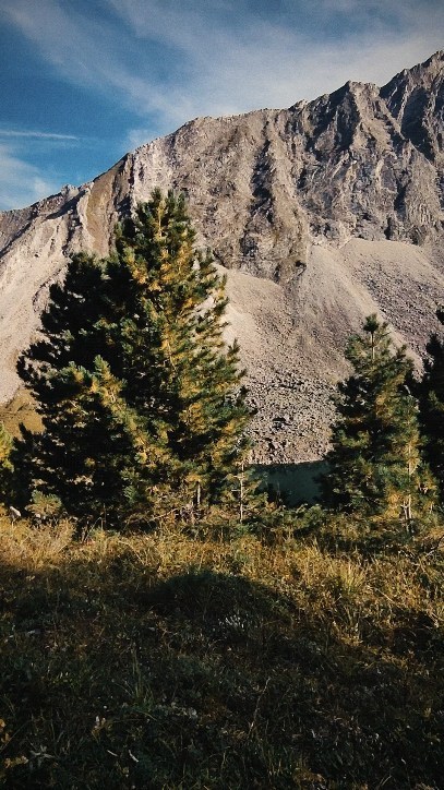 grihanya9002 в LOOKY. . null
