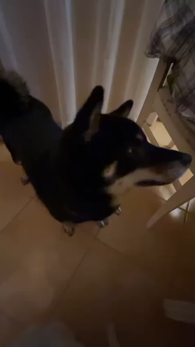 blackshiba.megumi в LOOKY. . Вы будете кушать уго...