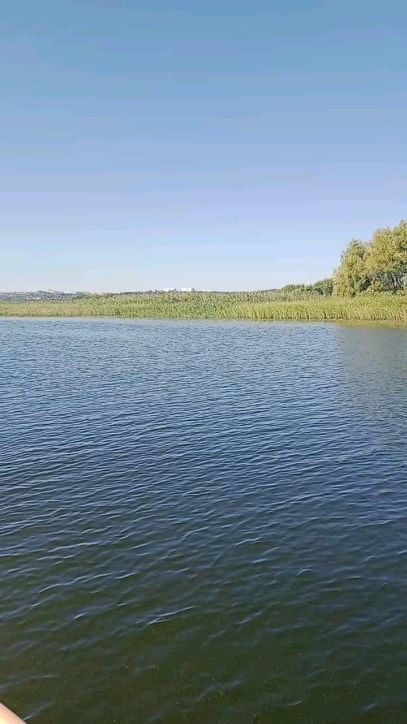 katesadchikova в LOOKY. . Саратов. Волга. Спин...
