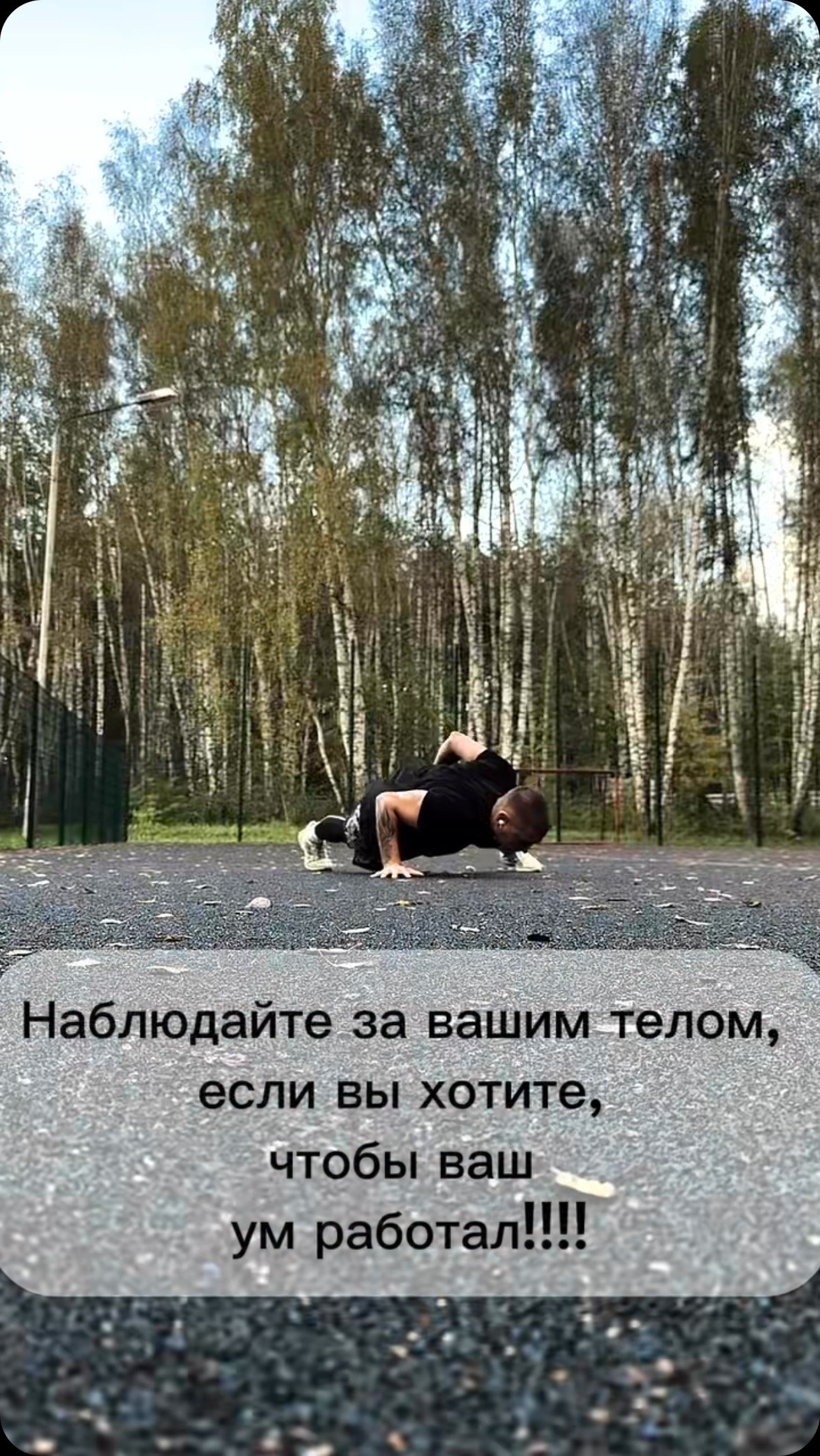 yakovlev._.alex в LOOKY. #Спорт,#тренер💪😎👍,#тренировка,#потренилвыложи,#мотивация,#undeground,#sport,#sportlife,#здравыйсмысл,#здравыйдвиж,#здраваямолодежь,#занимайтесьспортом,#андеграунд,#трейдинг,#motivation,#ukraine,#темки,#спорт,#бытьдобру,#саморазвитие,#успех,#атлетика,#борьба,#эстетика. #Спорт  #тренер💪😎�...