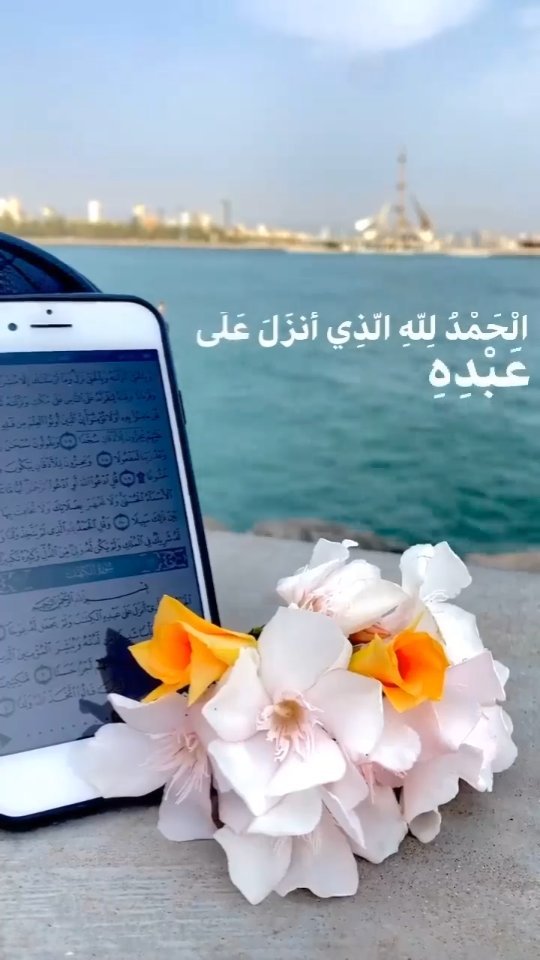 ham_oudi.27 в LOOKY. . null