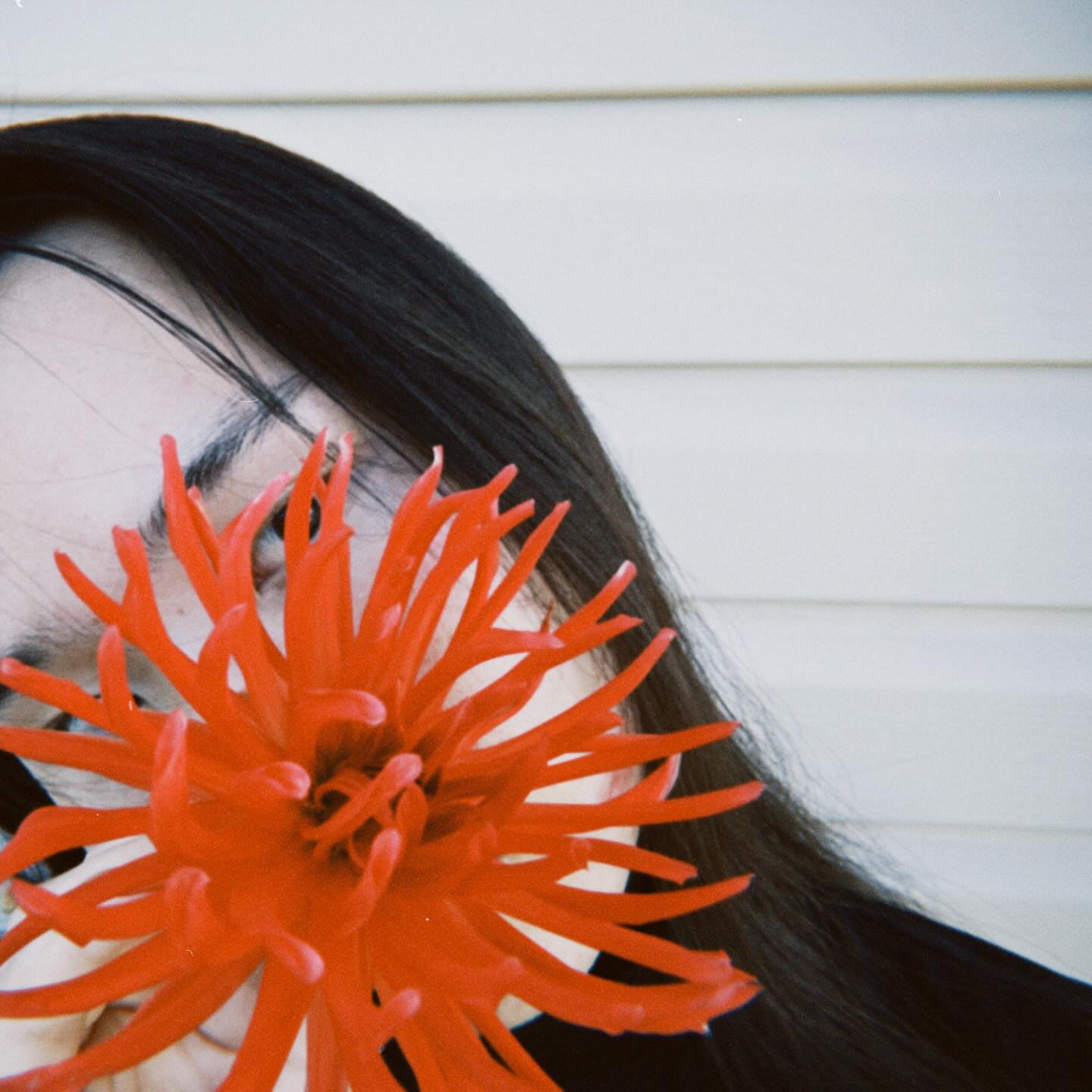 soultimwaves в LOOKY. . Bones and flowers