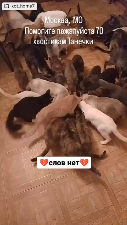 Evelina в LOOKY. #repostandroid,#repostw10. 🔴🆘️МОСКВА, МО,  ПО...