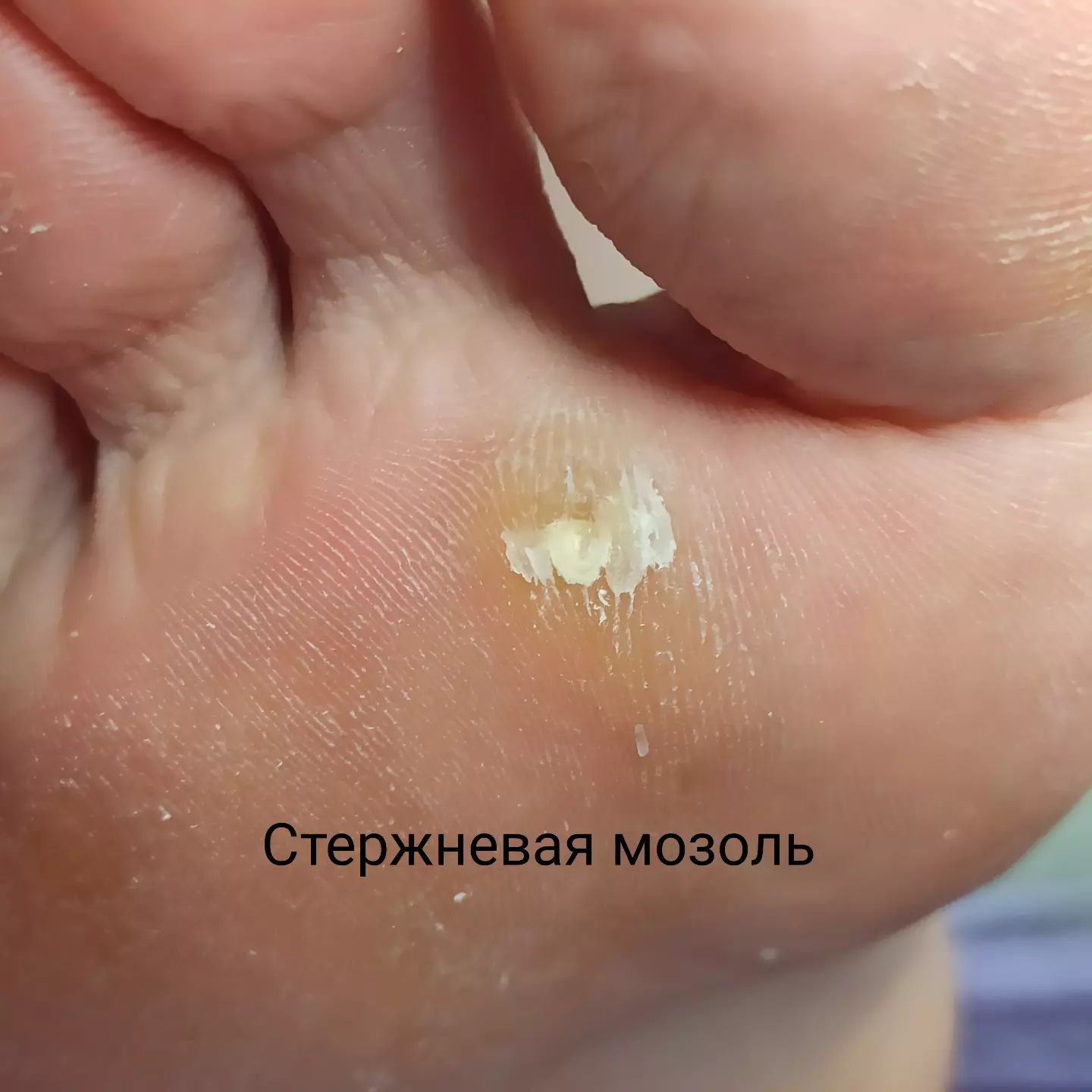 irina_pronogi в LOOKY. . null