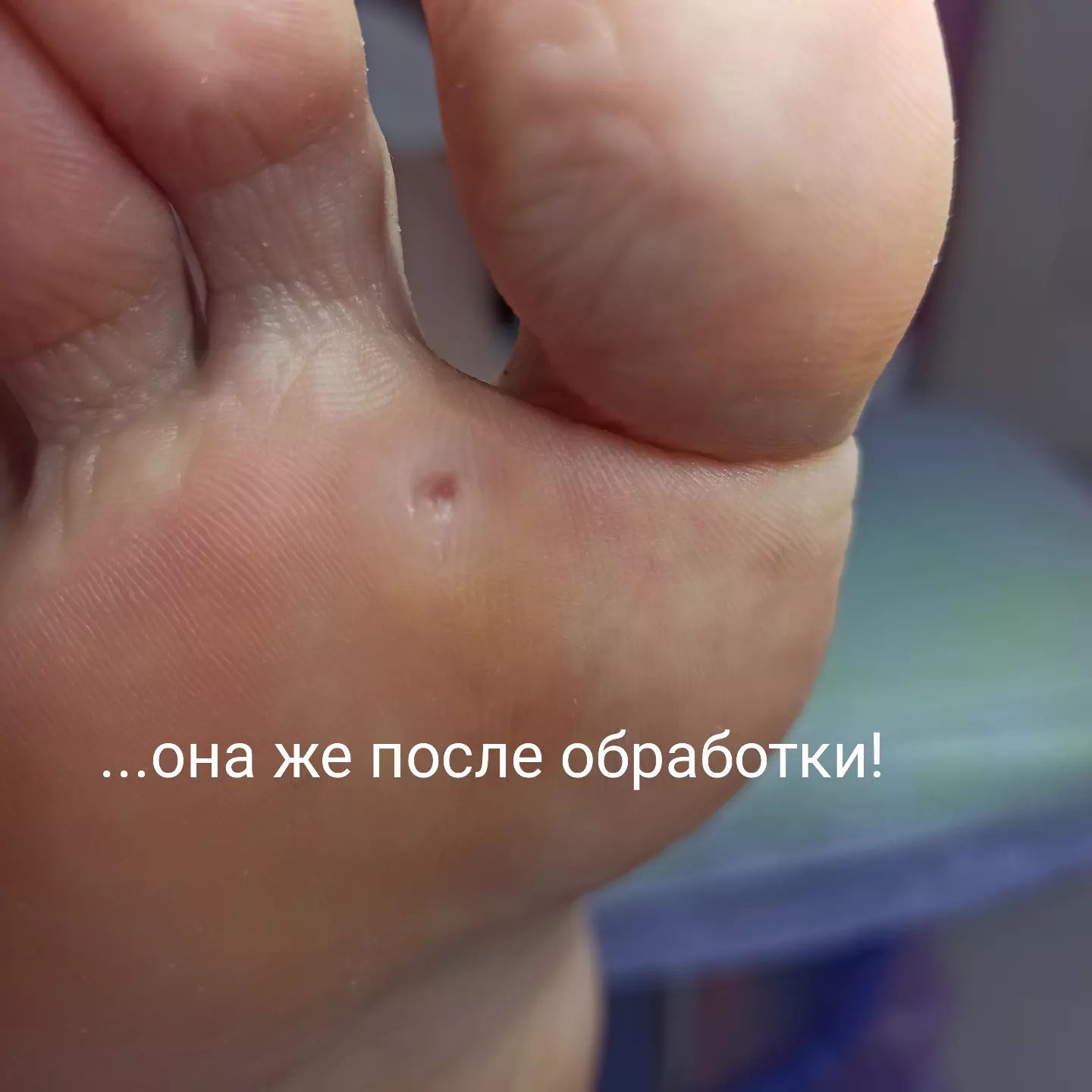 irina_pronogi в LOOKY. . null