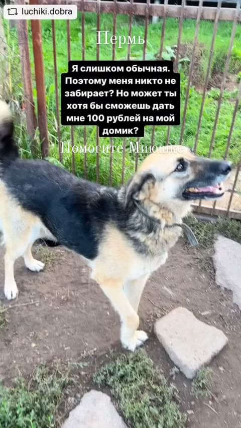Evelina в LOOKY. #repostandroid,#repostw10. 🔴🆘️ПЕРМЬ, ПОМОГИТЕ...