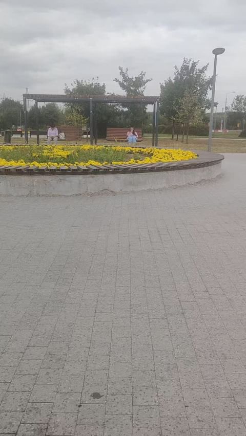 skachkovvova in LOOKY. . null