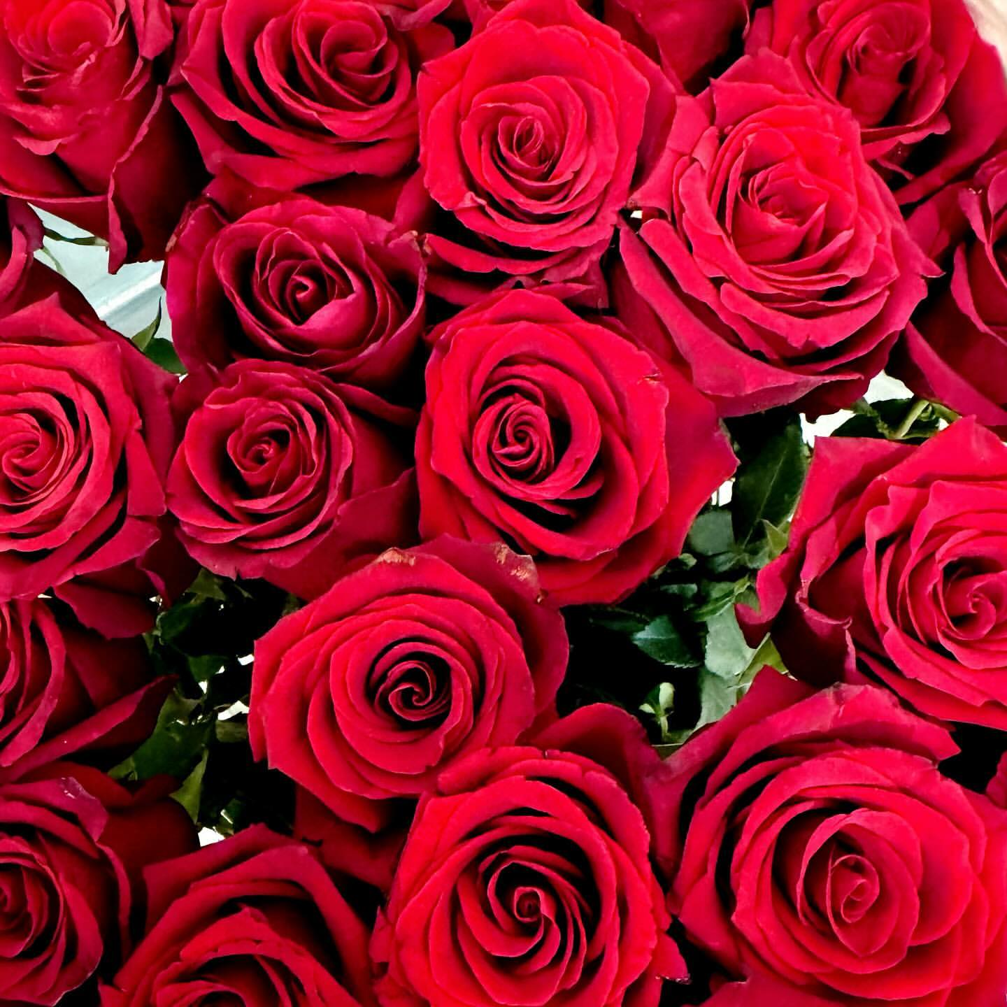 stalina.mirnaya в LOOKY. #розы,#деньрождения. А что это у нас 🌹 ?...