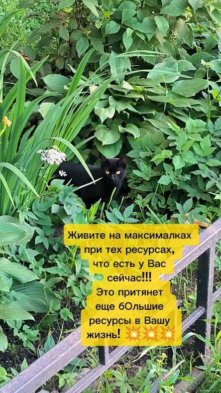 cvetokasfalta в LOOKY. #аннаантропова,#эзотерика,#ясновидение,#вселенная,#духовность,#ченнелинг. ‌Как Духовный Терапе...