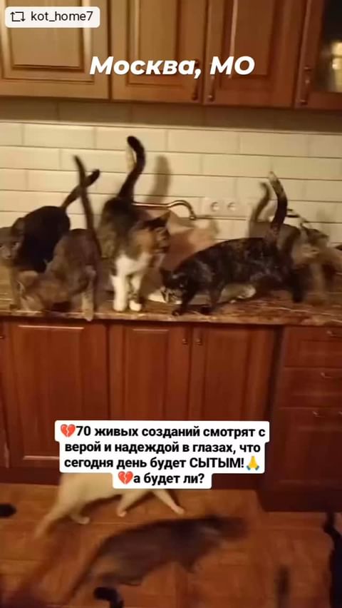 Evelina в LOOKY. #repostandroid,#repostw10. 🔴🆘️МОСКВА,МО, ПОМО...