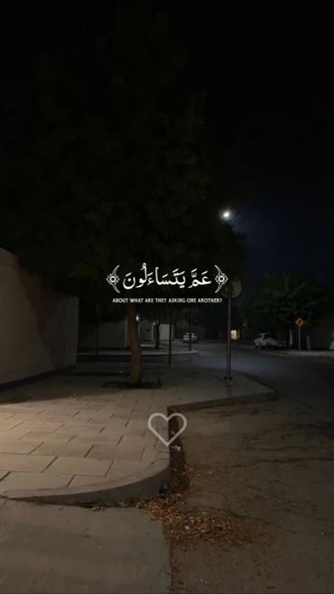 ham_oudi.27 в LOOKY. . null