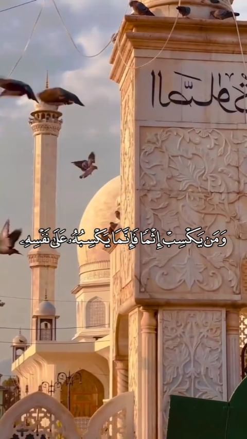 ham_oudi.27 в LOOKY. . null