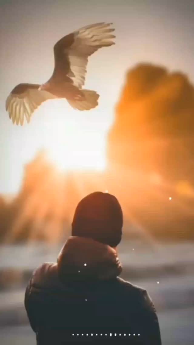 muhammadrizwan в LOOKY. . null