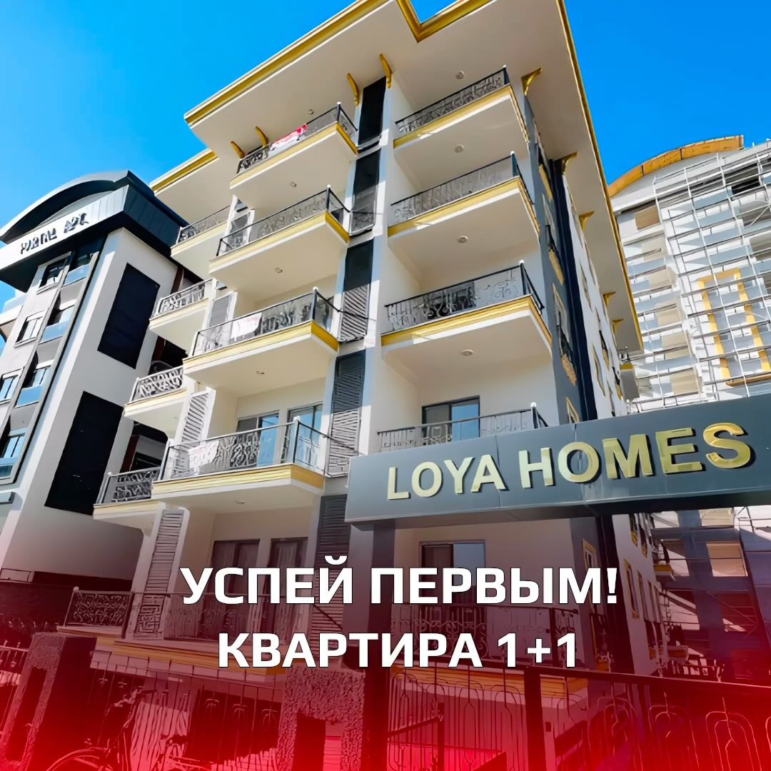 hasporealty в LOOKY. #недвижимостьтурции,#алания,#махмутлар,#Турция,#alanya,#квартиры,#жилье,#новостройка,#отзастройщика,#продажа,#покупка,#рассрочка,#недорого,#элитнаянедвижимость,#недвижимость,#цена,#квартирасремонтом,#инфраструктура,#отдых,#акция,#свидомнаморе,#realtyestate,#hasporealty,#turkey,#аланиятурция,#квартира,#квартираваренду,#инвестиции,#комфорт. НЕВЕРОЯТНОЕ ПРЕДЛОЖЕ...