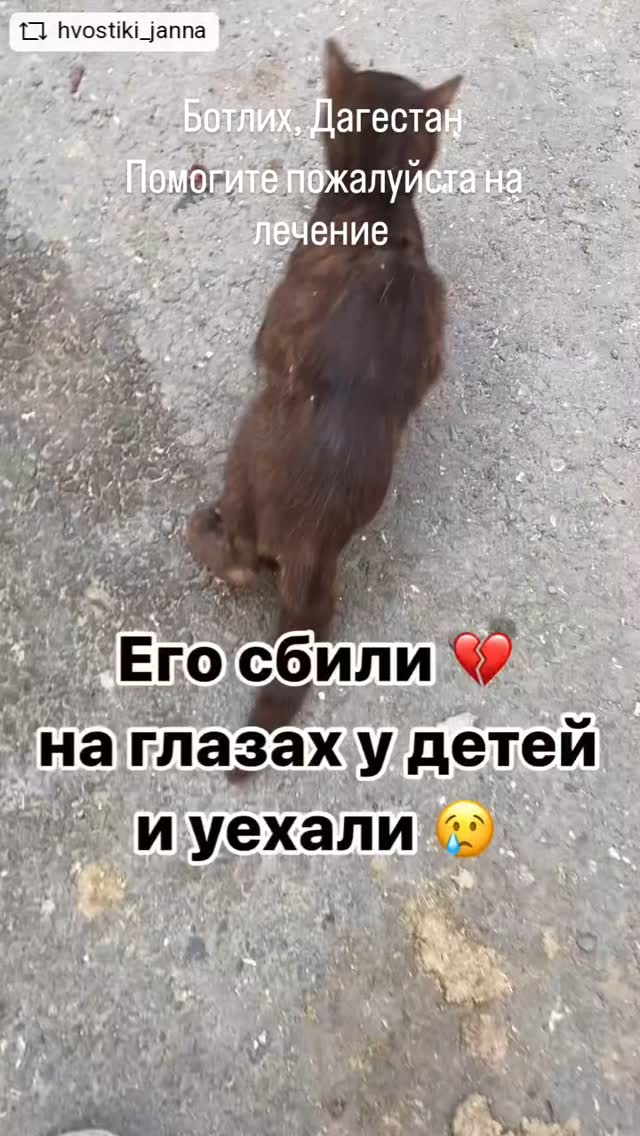Evelina в LOOKY. #repostandroid,#repostw10. 🔴🆘️БОТЛИХ, ДАГЕСТА...