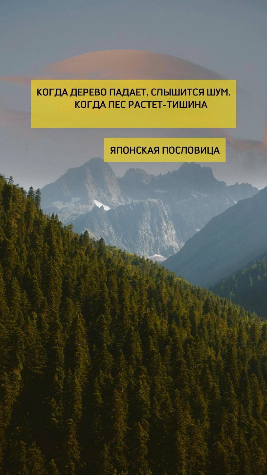 tanya_facele в LOOKY. . КОГДА ДЕРЕВО ПАДАЕТ,...