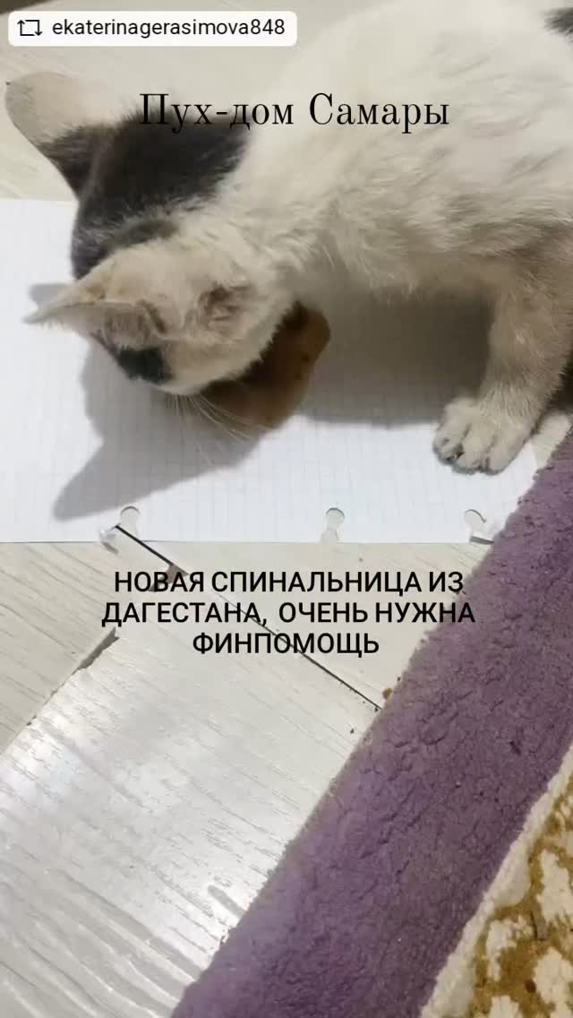 Evelina в LOOKY. #repostandroid,#repostw10. 🔴🆘️ПУХ ДОМ САМАРЫ,...
