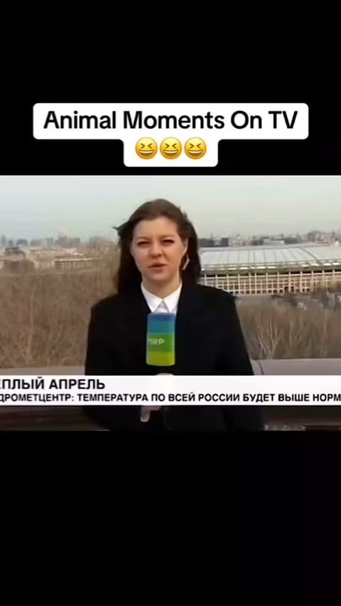 Evelina в LOOKY. . https://www.instagra...