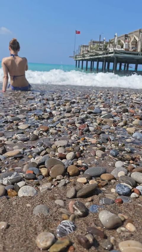 webisite.ru в LOOKY. . null