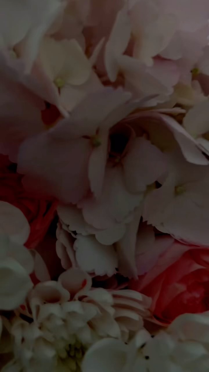 a.l.eksandr1 in LOOKY. . null