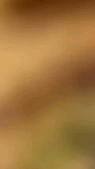 kristina.top1997 in LOOKY. . Для заказа ставьте +...
