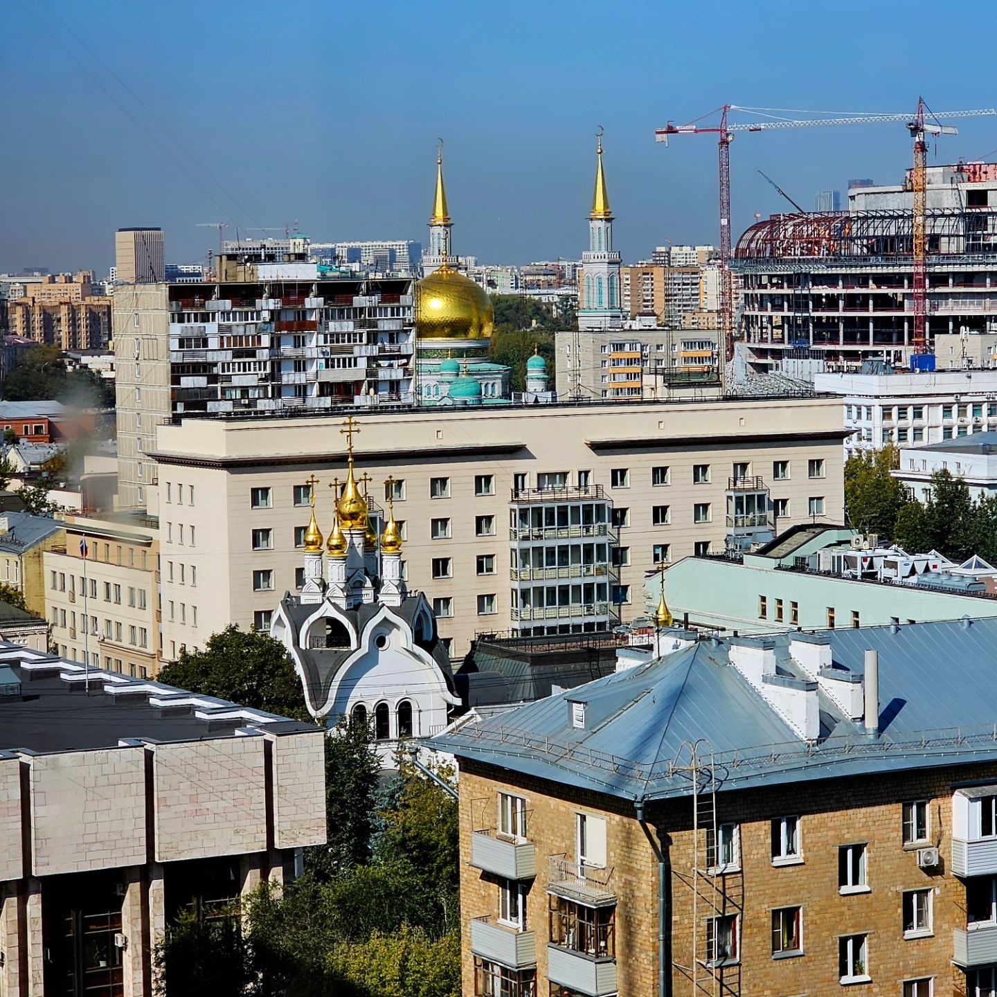 bogomolof в LOOKY. . null