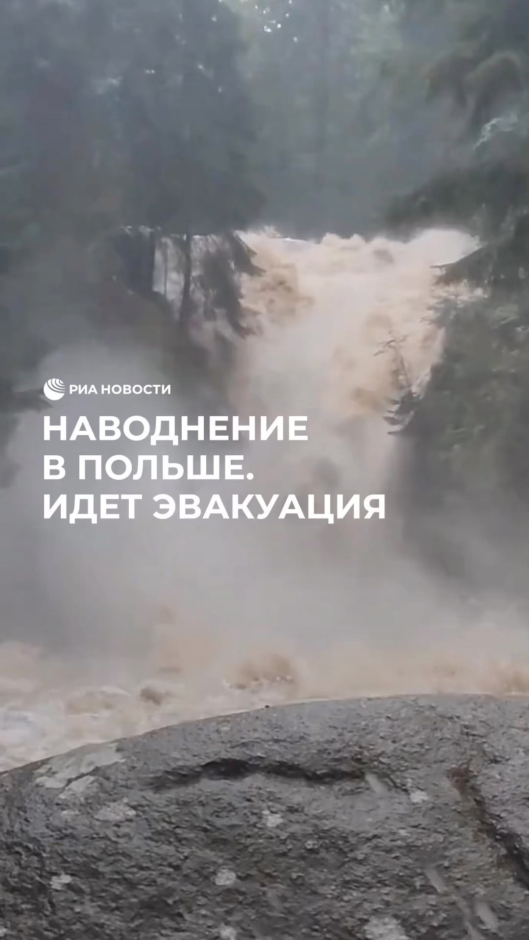 РИА Новости в LOOKY. . На Польшу обрушились...