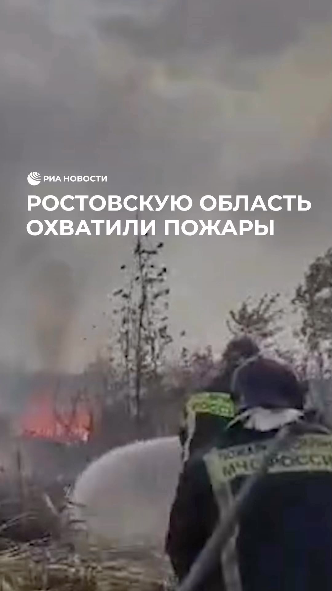 РИА Новости в LOOKY. . В Ростовской области...