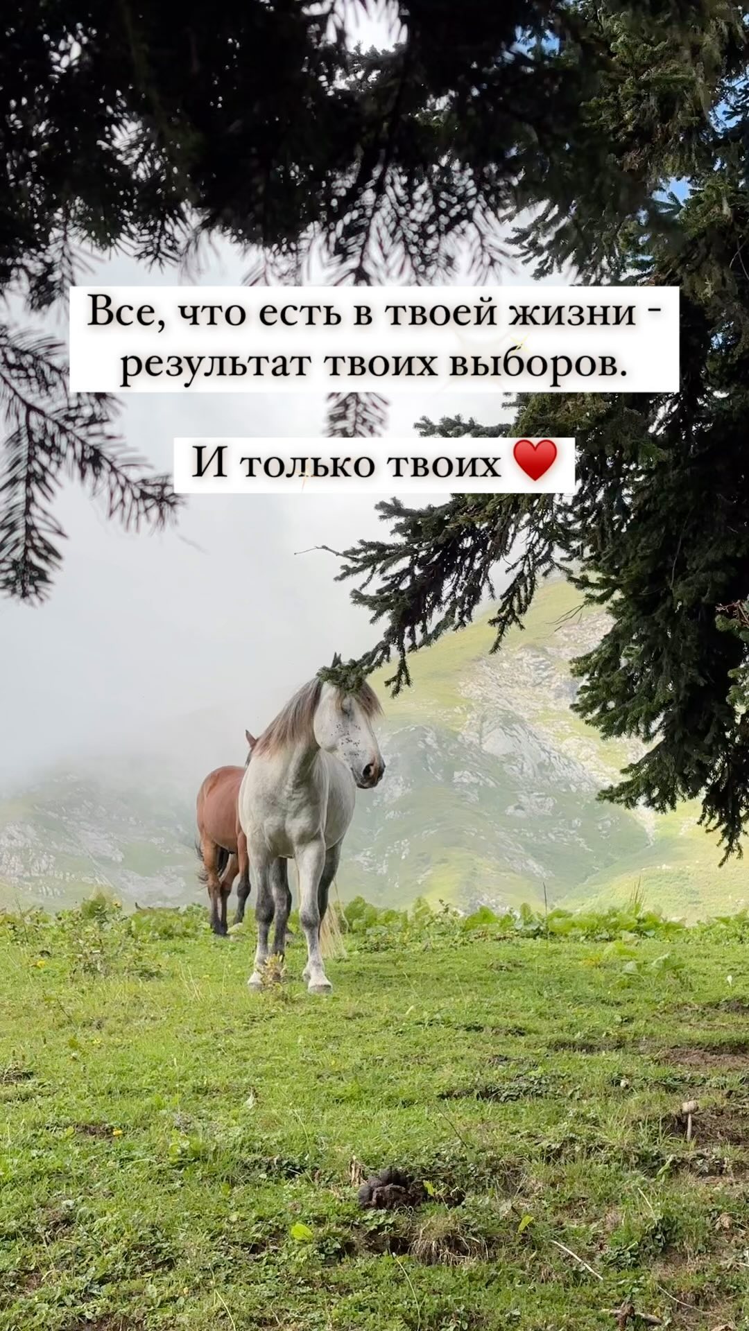 ksenia.faiz в LOOKY. . Так и есть ♥️