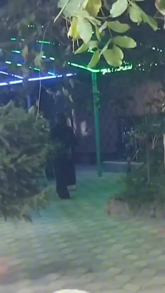 halaty_belovodsk в LOOKY. . null