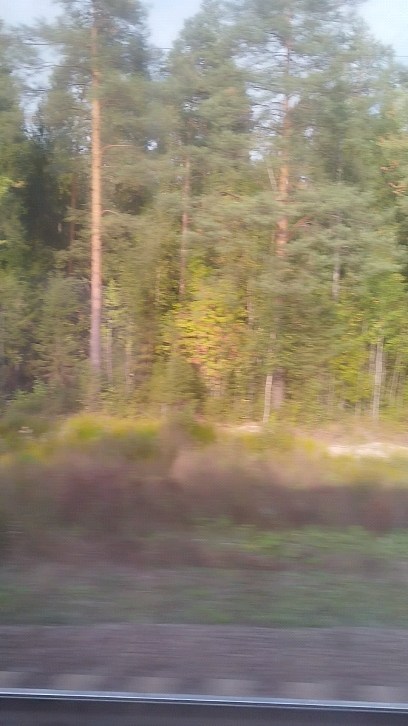 ekaterinagorhckova в LOOKY. . null