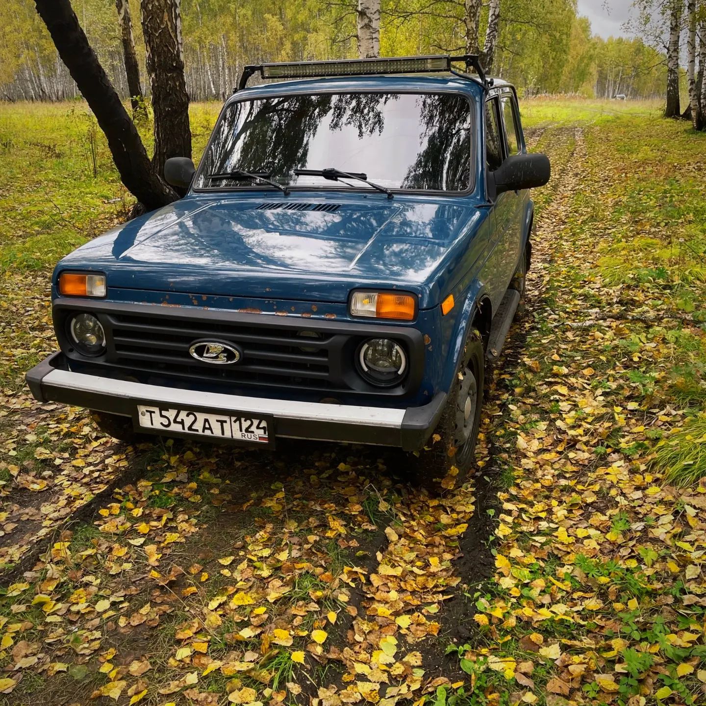 karasyov124