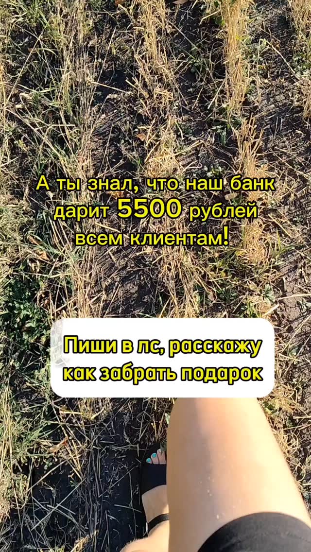 shmeleva.bis в LOOKY. #подарок,#россиятоп,#даритденьги,#удалëннаяработа,#ищу. А ты знал, что банк ...